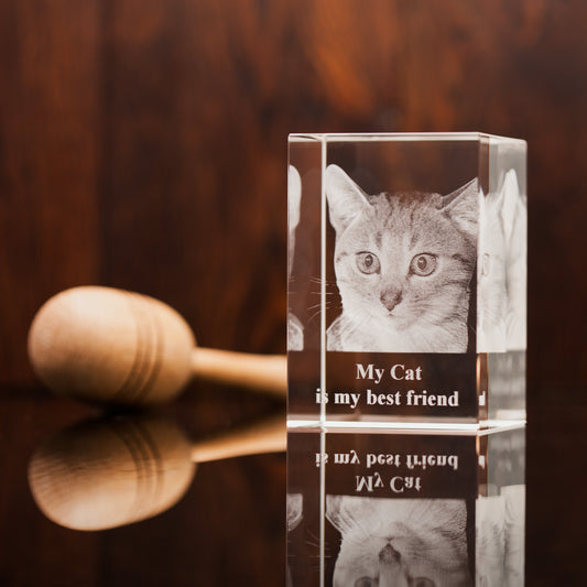 Pet 3D Photo Crystal