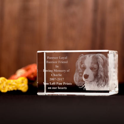 Lost pet 3D Photo Crystal