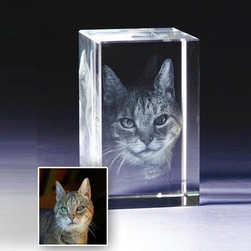 Cat Photo Crystal